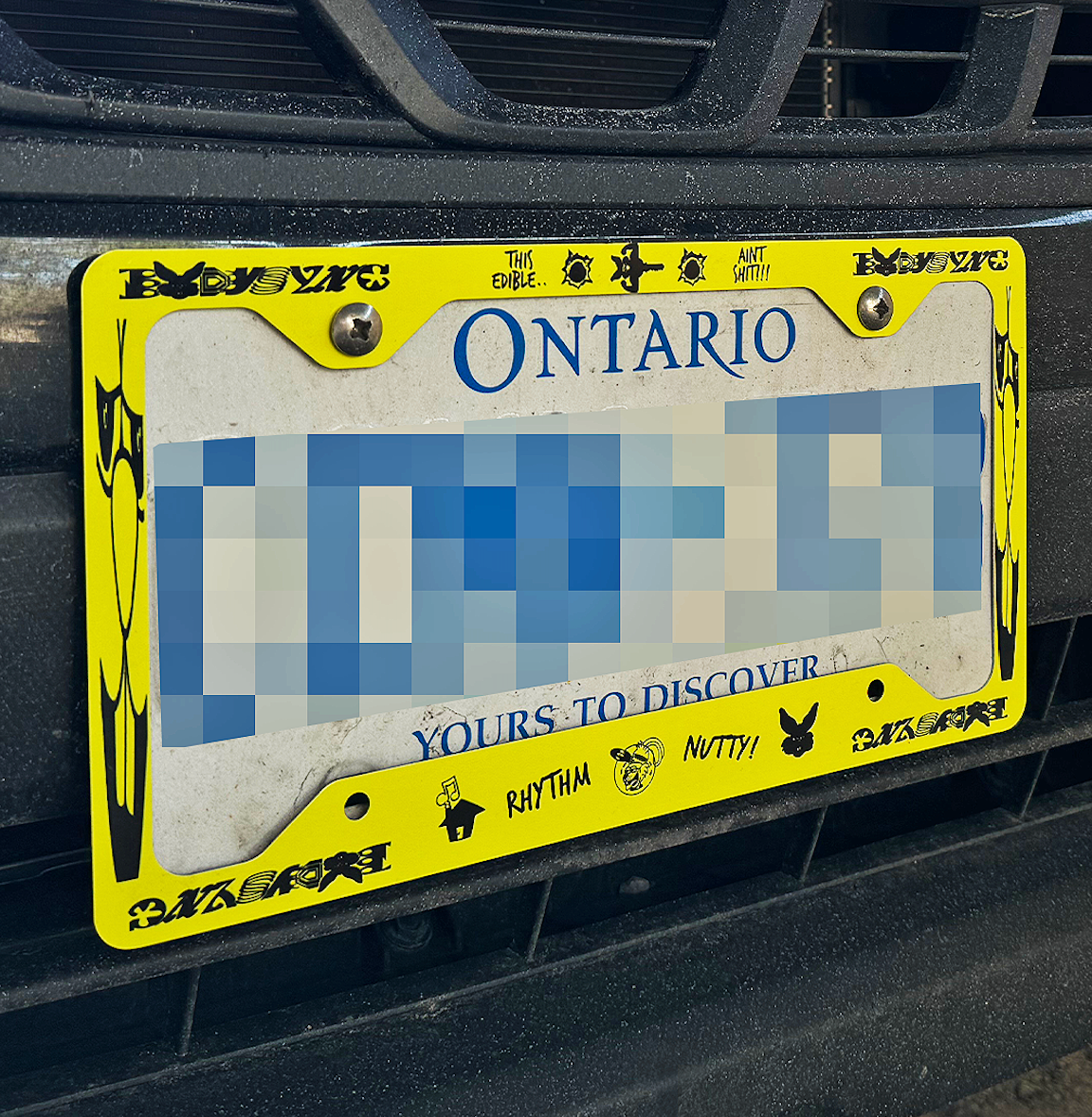 license plate frame